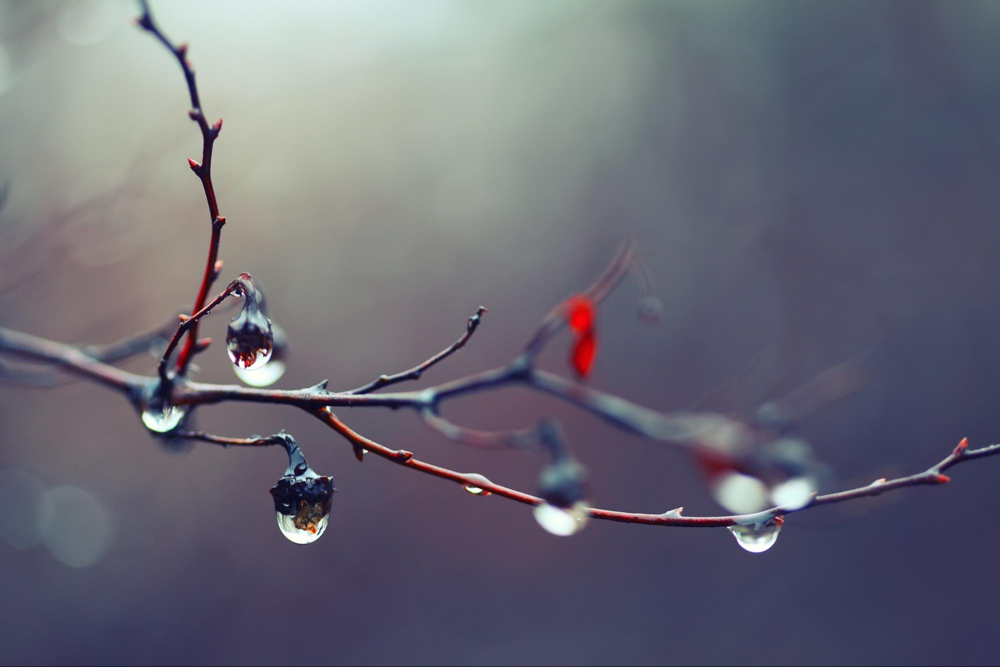 © pilat666 / stock.adobe.com